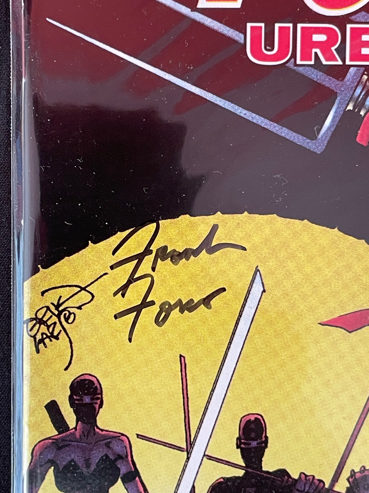 Teenage Mutant Ninja Turtles Urban Legends #2 NM / IDW singed by artist Frank Fosco